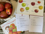 Autumn Curriculum Package